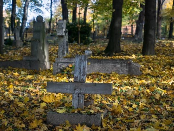 Fatos Curiosos da Cidade de Joinville – Uma Cruz apontava ao primeiro cemitério da cidade